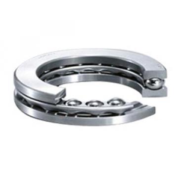 INA 2003 Thrust Ball Bearing