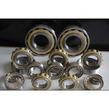 Rexroth hydraulic pump bearings F-205526