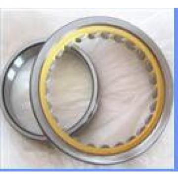 Rexroth hydraulic pump bearings F-205526