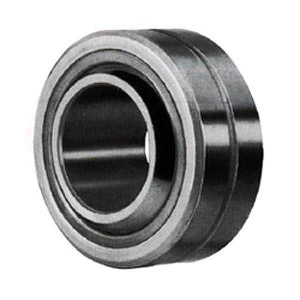 INA GE18-PB Spherical Plain Bearings - Radial #1 image