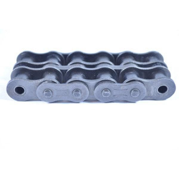 TSUBAKI 80H-2RB Roller Chains #1 image