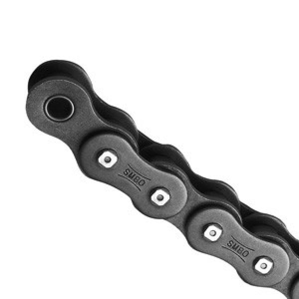 TSUBAKI RS60SM-1-RP Roller Chains #1 image