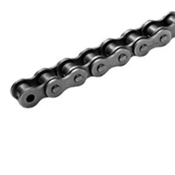 TSUBAKI RS12B-1-RP-R100 Roller Chains #1 image